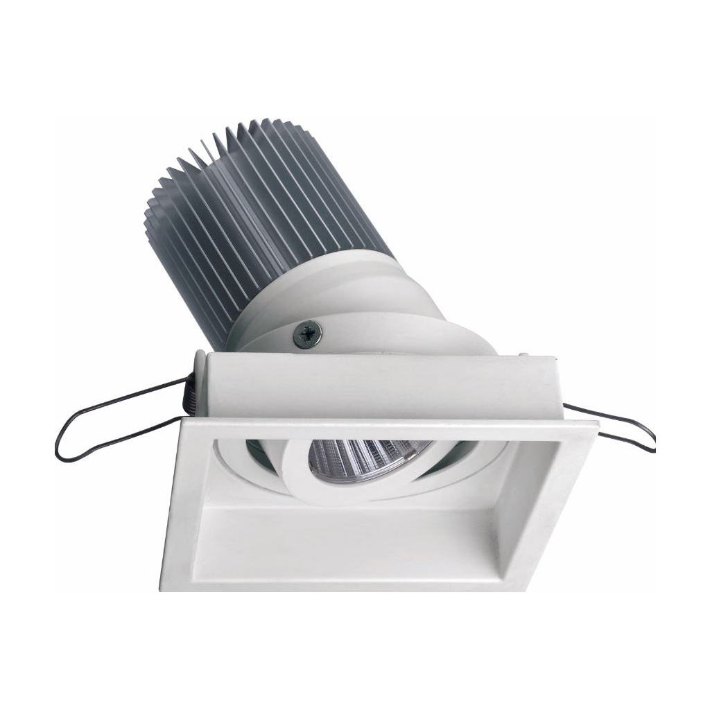 LDL313 LED Downlight